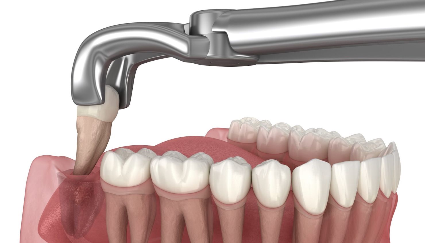 service illustration